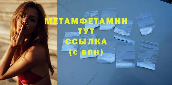 мет Алексин