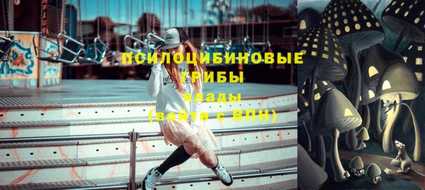мет Алексин