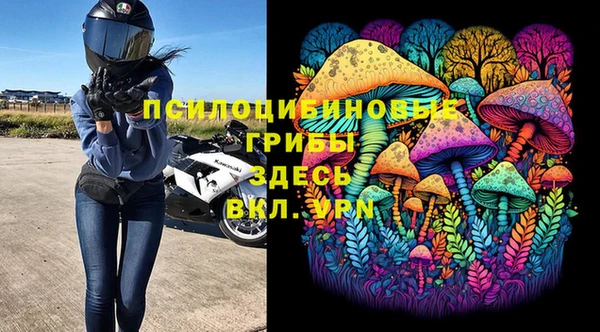 мет Алексин