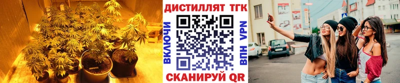 блэк спрут ссылки  Андреаполь  ТГК вейп с тгк  купить  