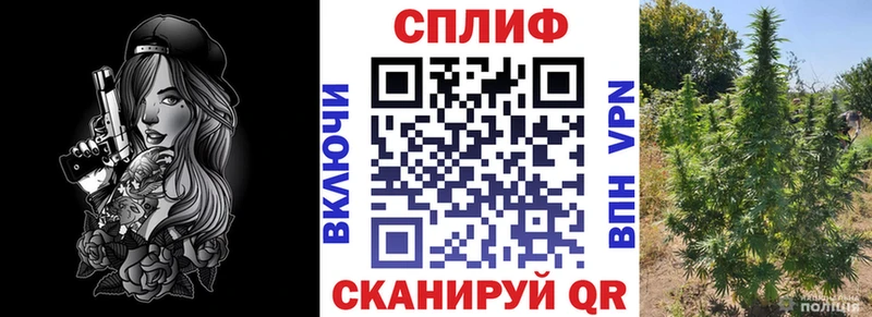 Конопля ГИДРОПОН  Андреаполь 
